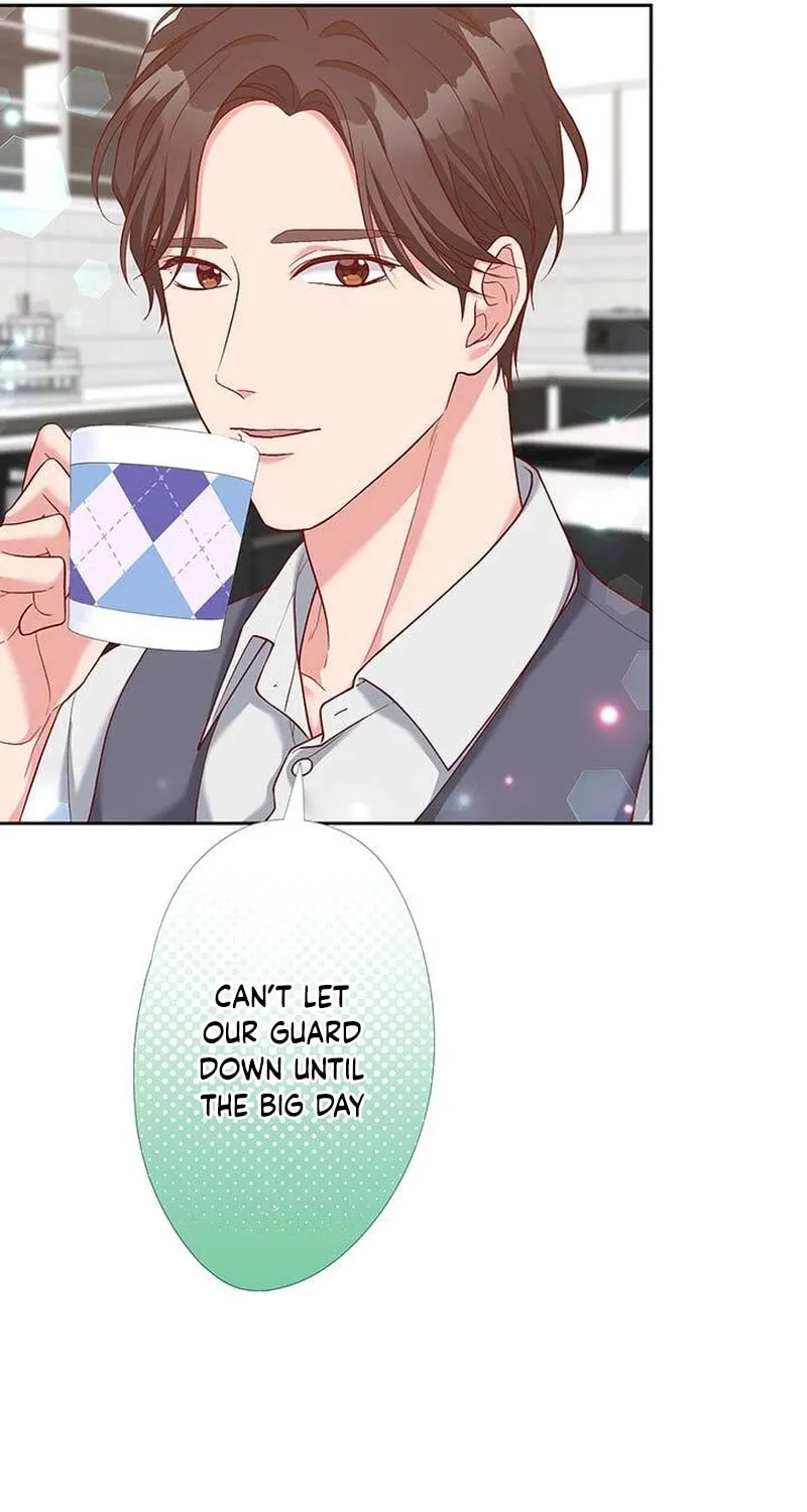 Business Marriage - If You Fall in Love, We'll Get a Divorce