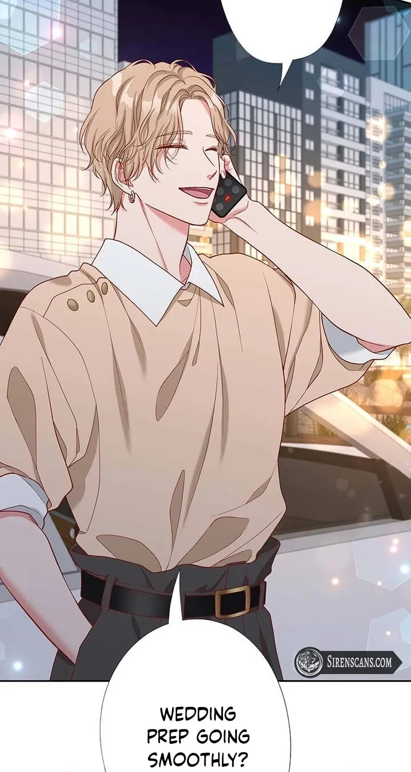 Business Marriage - If You Fall in Love, We'll Get a Divorce