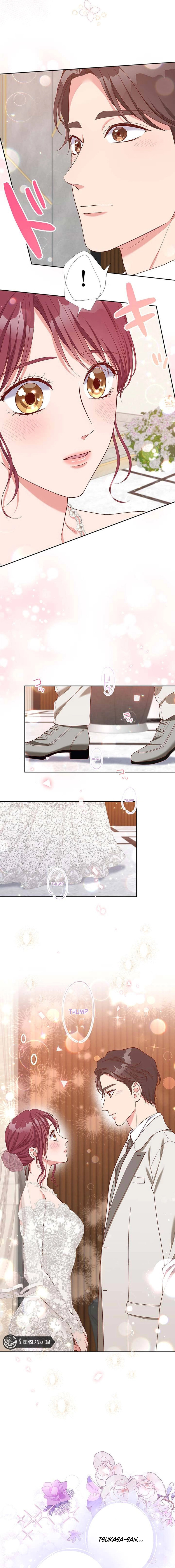 Business Marriage - If You Fall in Love, We'll Get a Divorce