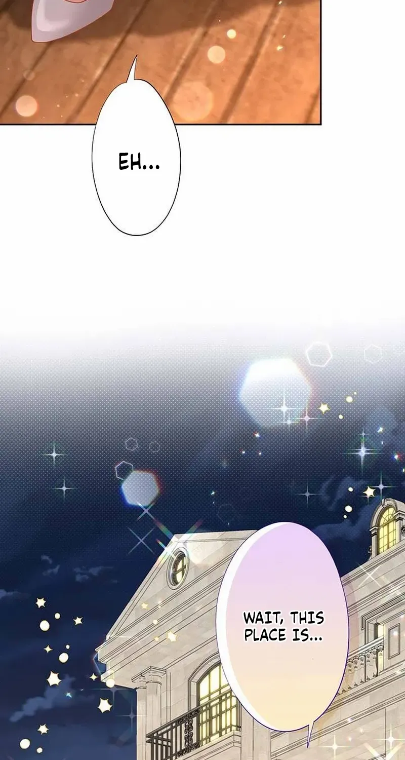 Business Marriage - If You Fall in Love, We'll Get a Divorce