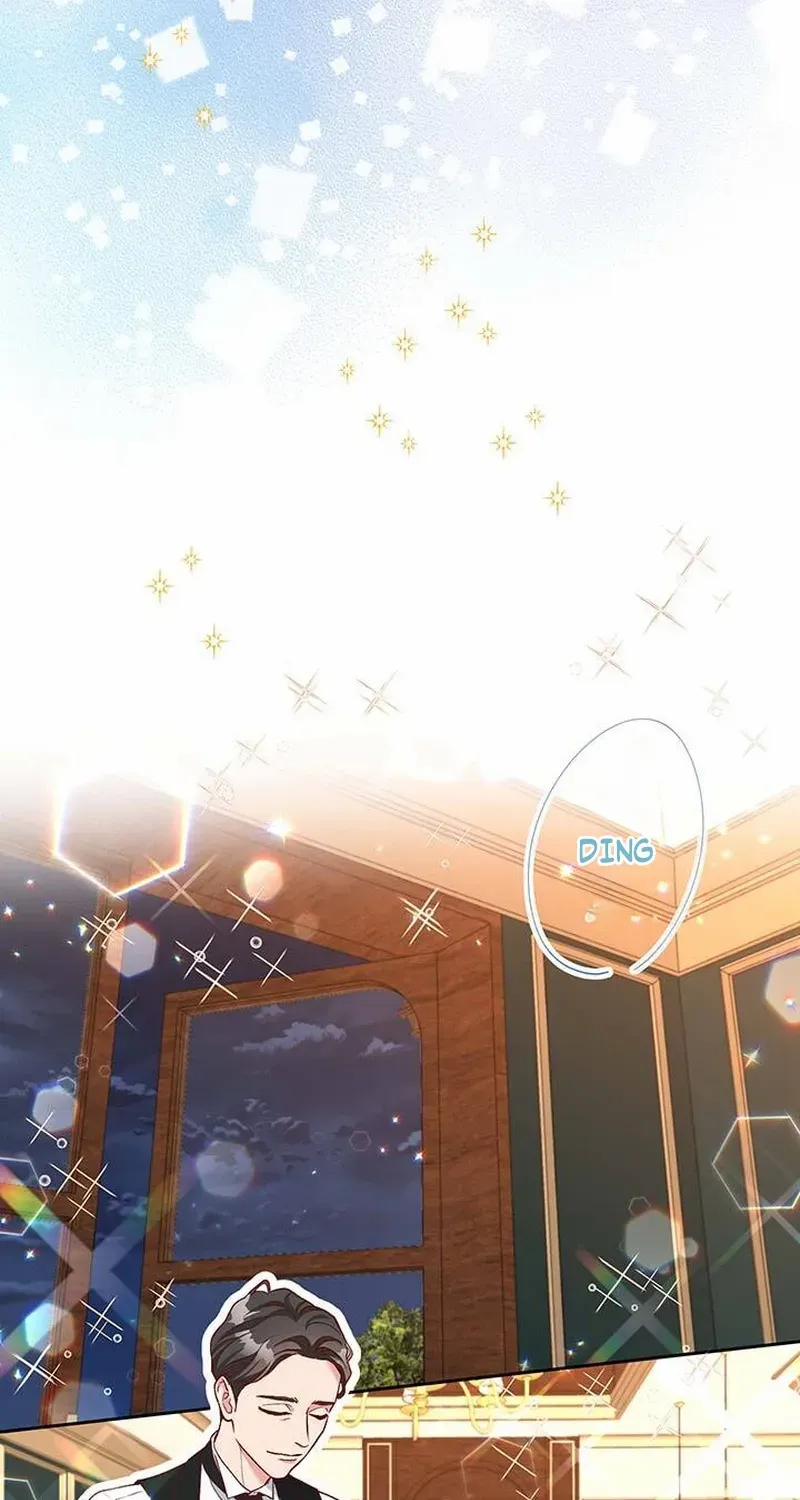 Business Marriage - If You Fall in Love, We'll Get a Divorce