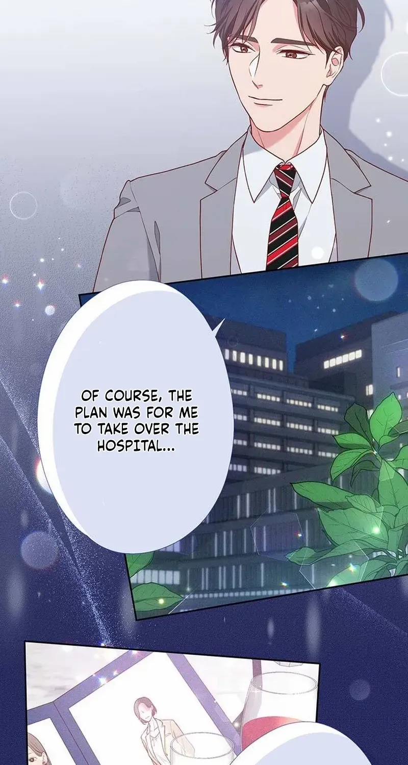 Business Marriage - If You Fall in Love, We'll Get a Divorce