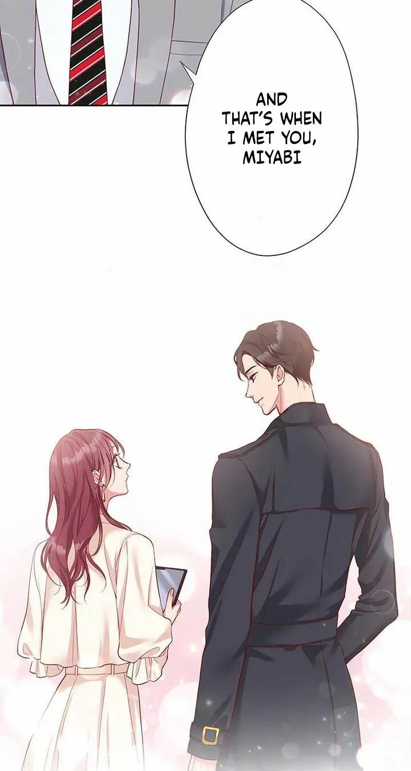 Business Marriage - If You Fall in Love, We'll Get a Divorce