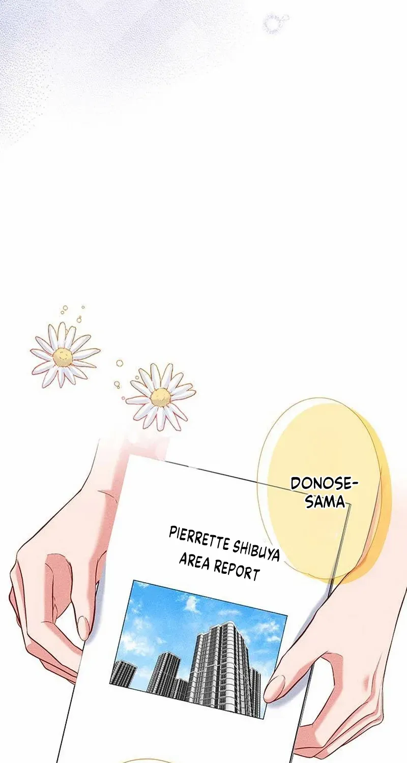 Business Marriage - If You Fall in Love, We'll Get a Divorce