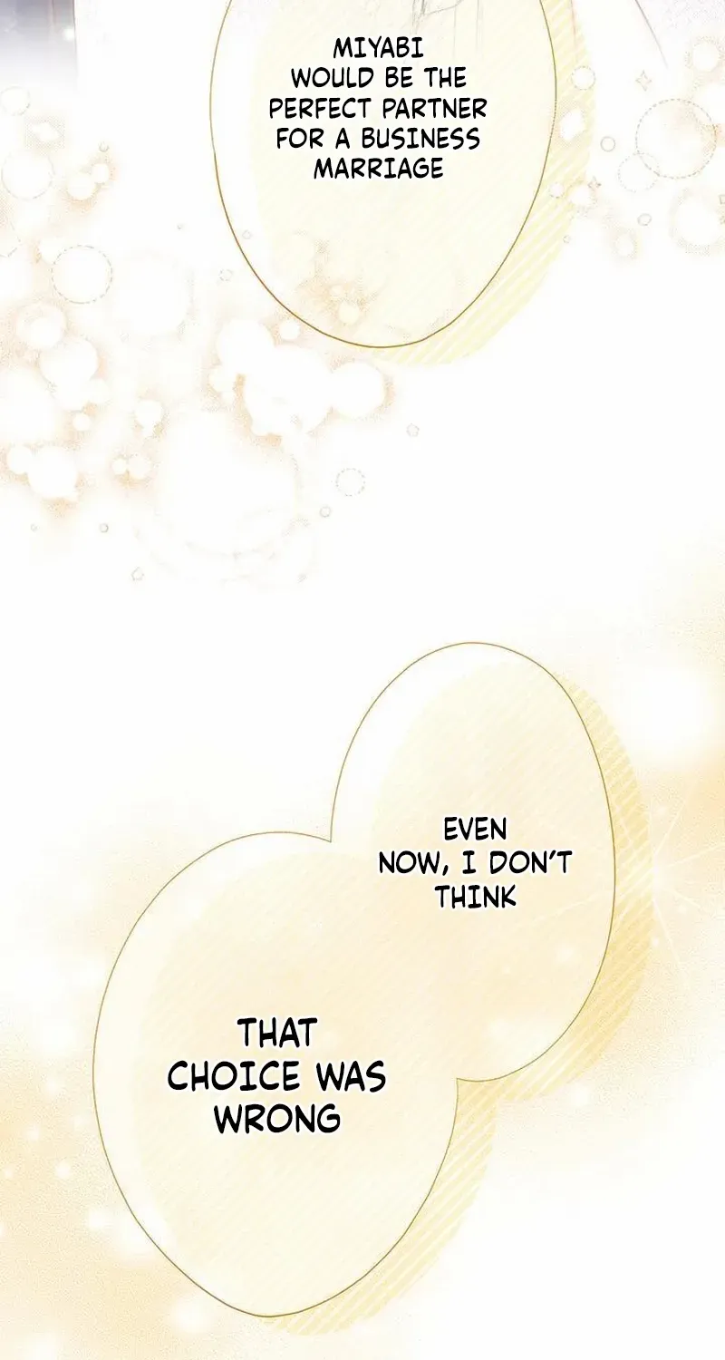 Business Marriage - If You Fall in Love, We'll Get a Divorce