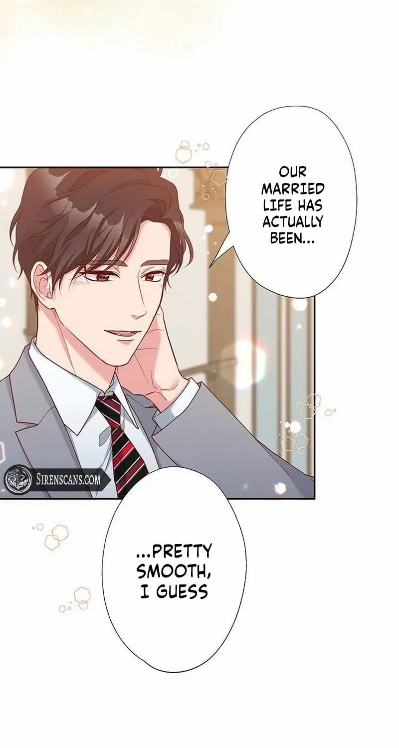 Business Marriage - If You Fall in Love, We'll Get a Divorce