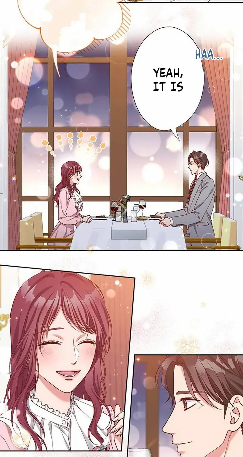 Business Marriage - If You Fall in Love, We'll Get a Divorce