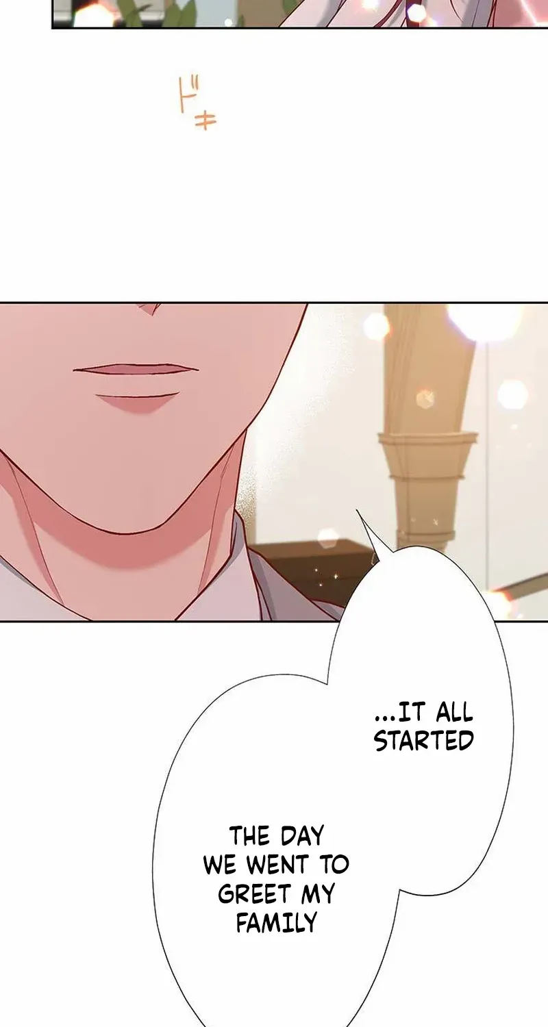 Business Marriage - If You Fall in Love, We'll Get a Divorce