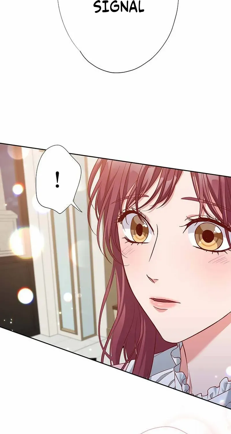 Business Marriage - If You Fall in Love, We'll Get a Divorce