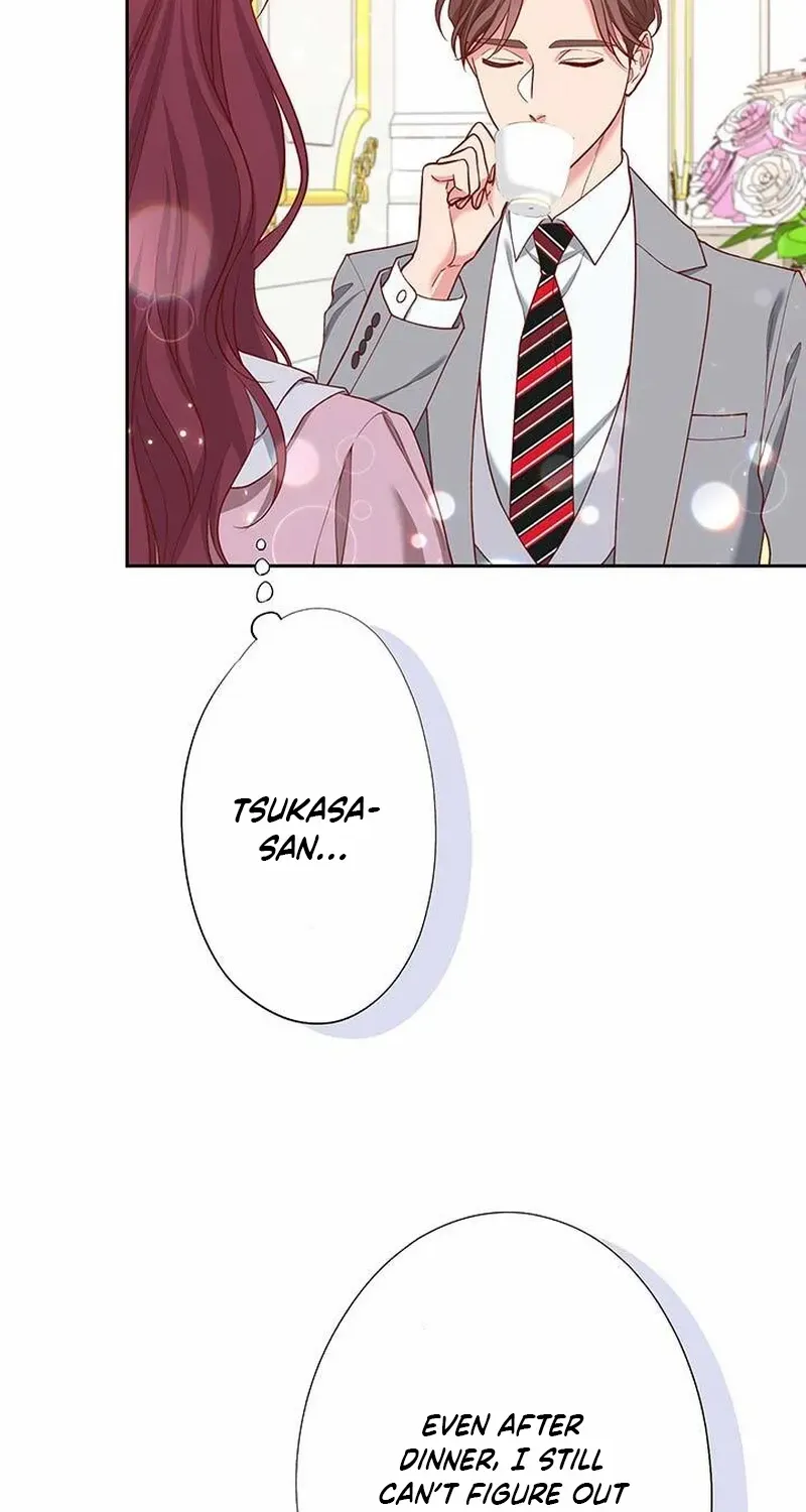 Business Marriage - If You Fall in Love, We'll Get a Divorce