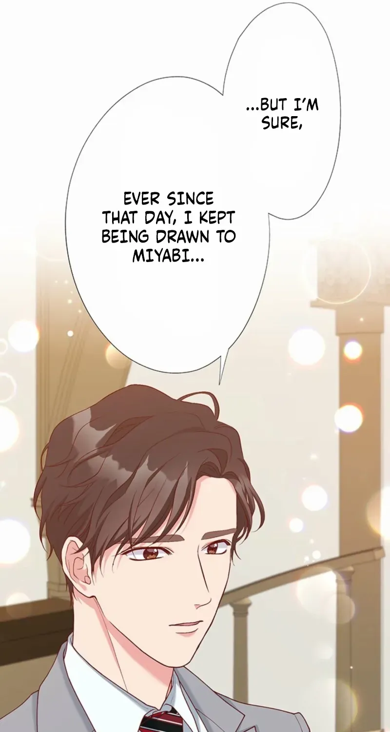 Business Marriage - If You Fall in Love, We'll Get a Divorce