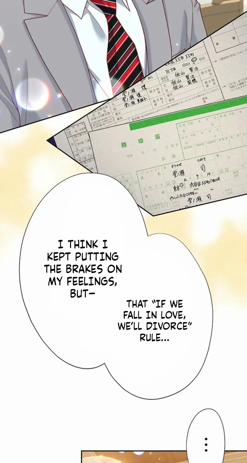 Business Marriage - If You Fall in Love, We'll Get a Divorce