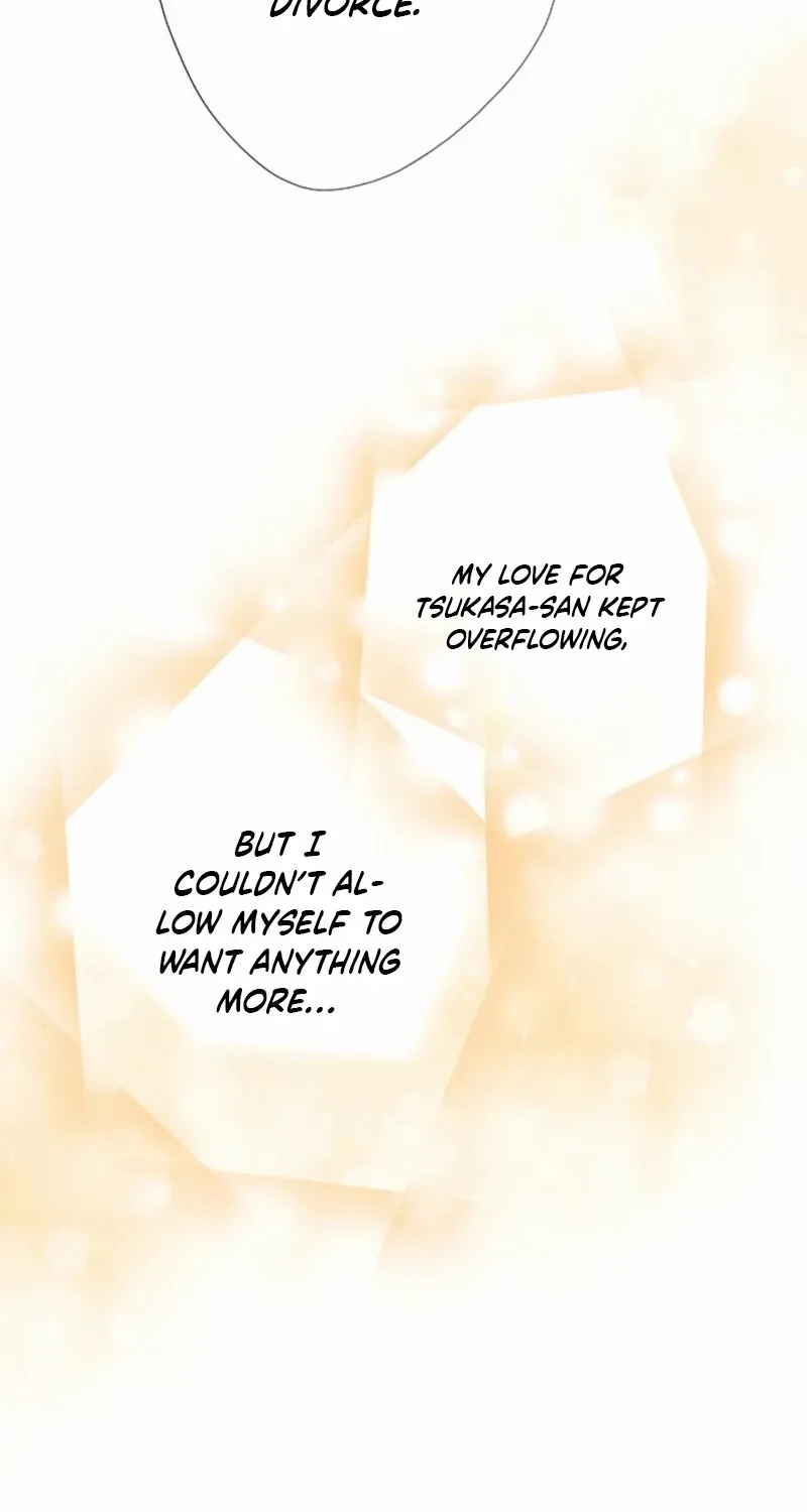 Business Marriage - If You Fall in Love, We'll Get a Divorce