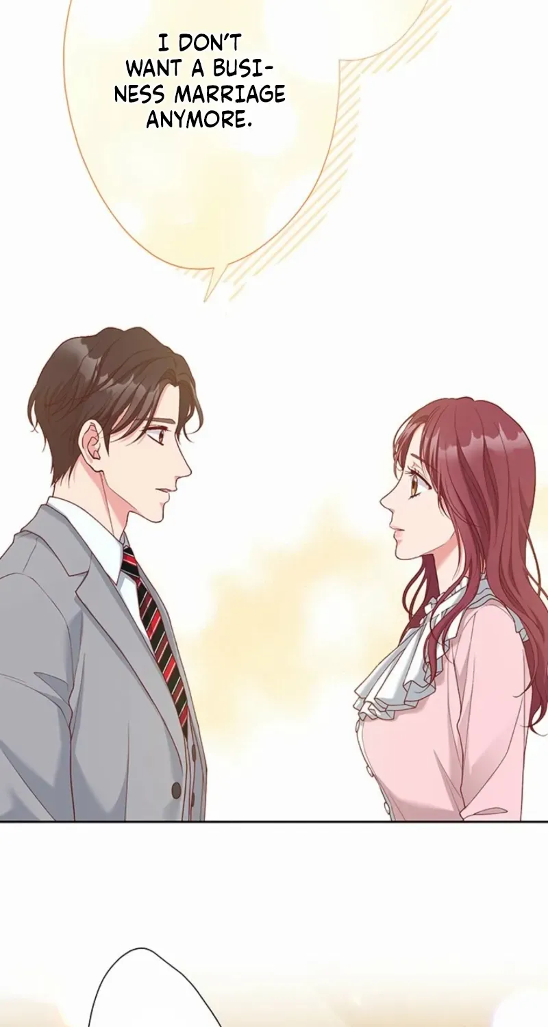 Business Marriage - If You Fall in Love, We'll Get a Divorce