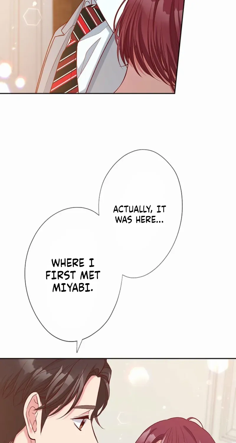 Business Marriage - If You Fall in Love, We'll Get a Divorce