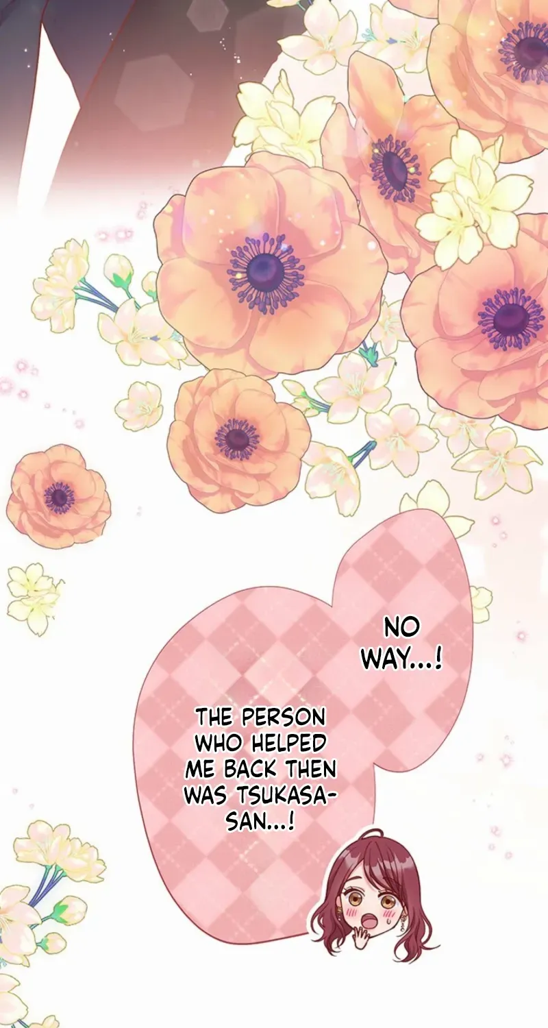 Business Marriage - If You Fall in Love, We'll Get a Divorce