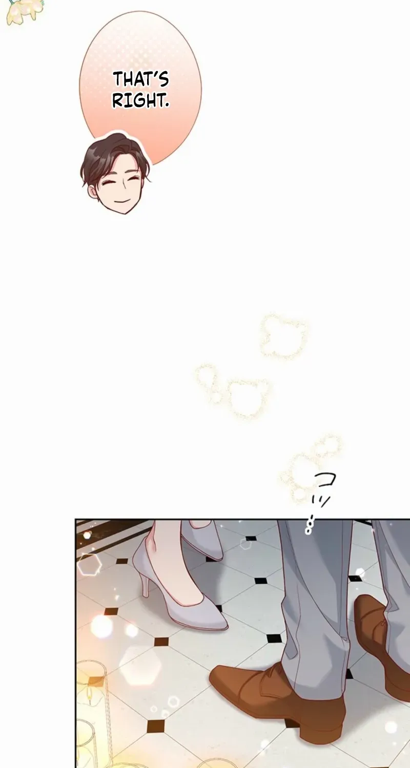 Business Marriage - If You Fall in Love, We'll Get a Divorce