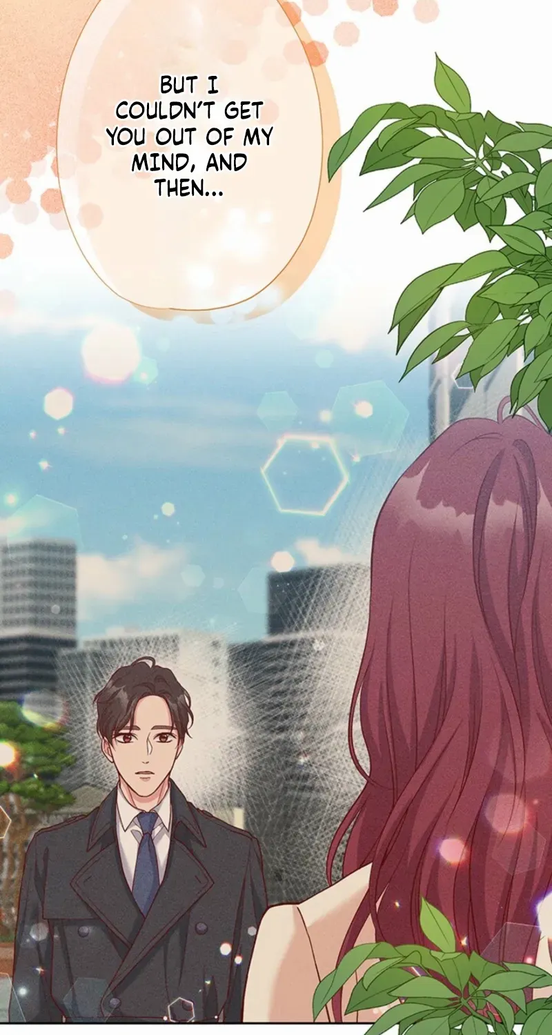 Business Marriage - If You Fall in Love, We'll Get a Divorce