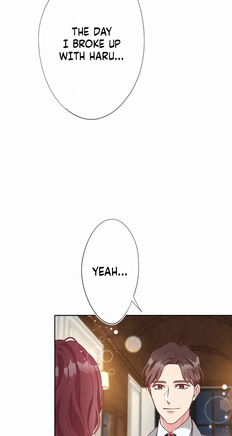 Business Marriage - If You Fall in Love, We'll Get a Divorce