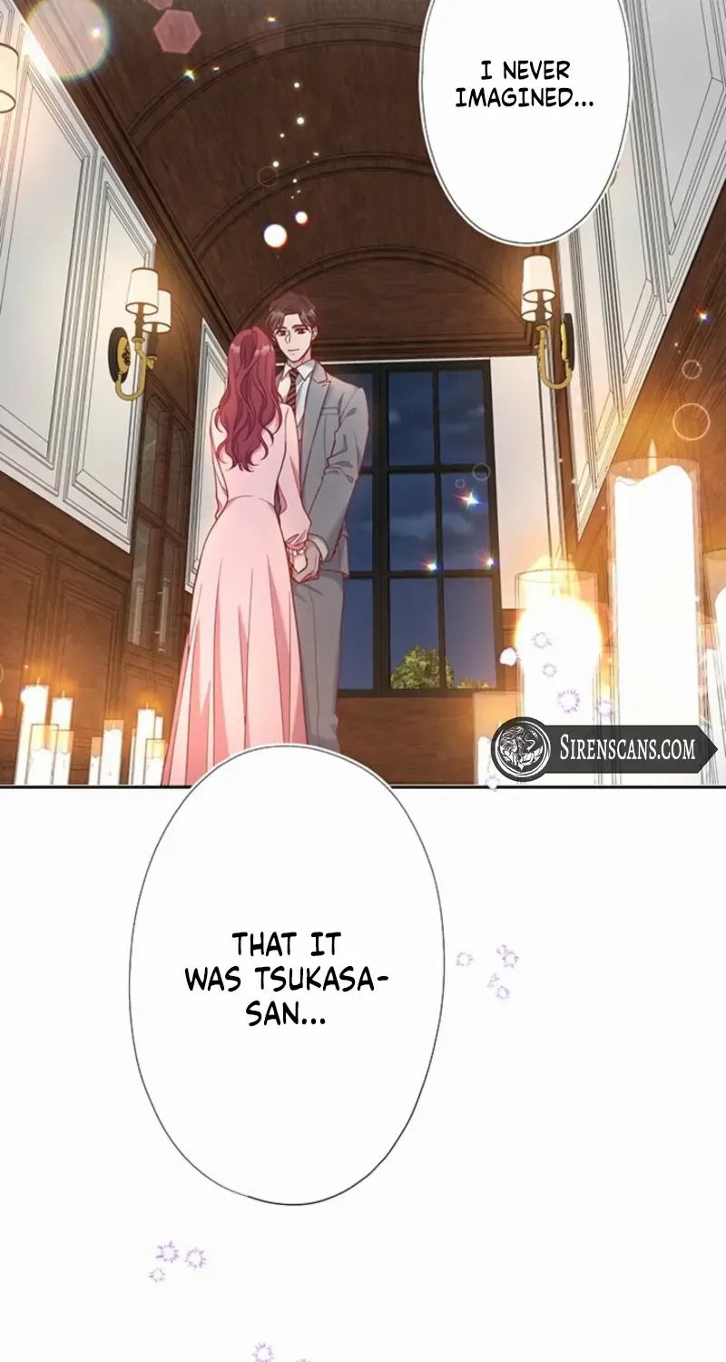 Business Marriage - If You Fall in Love, We'll Get a Divorce