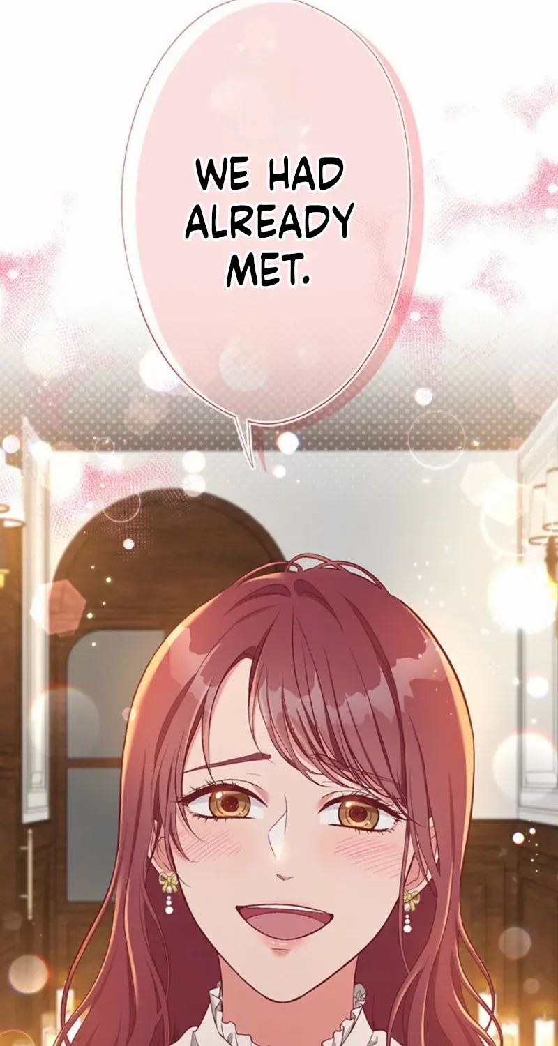 Business Marriage - If You Fall in Love, We'll Get a Divorce