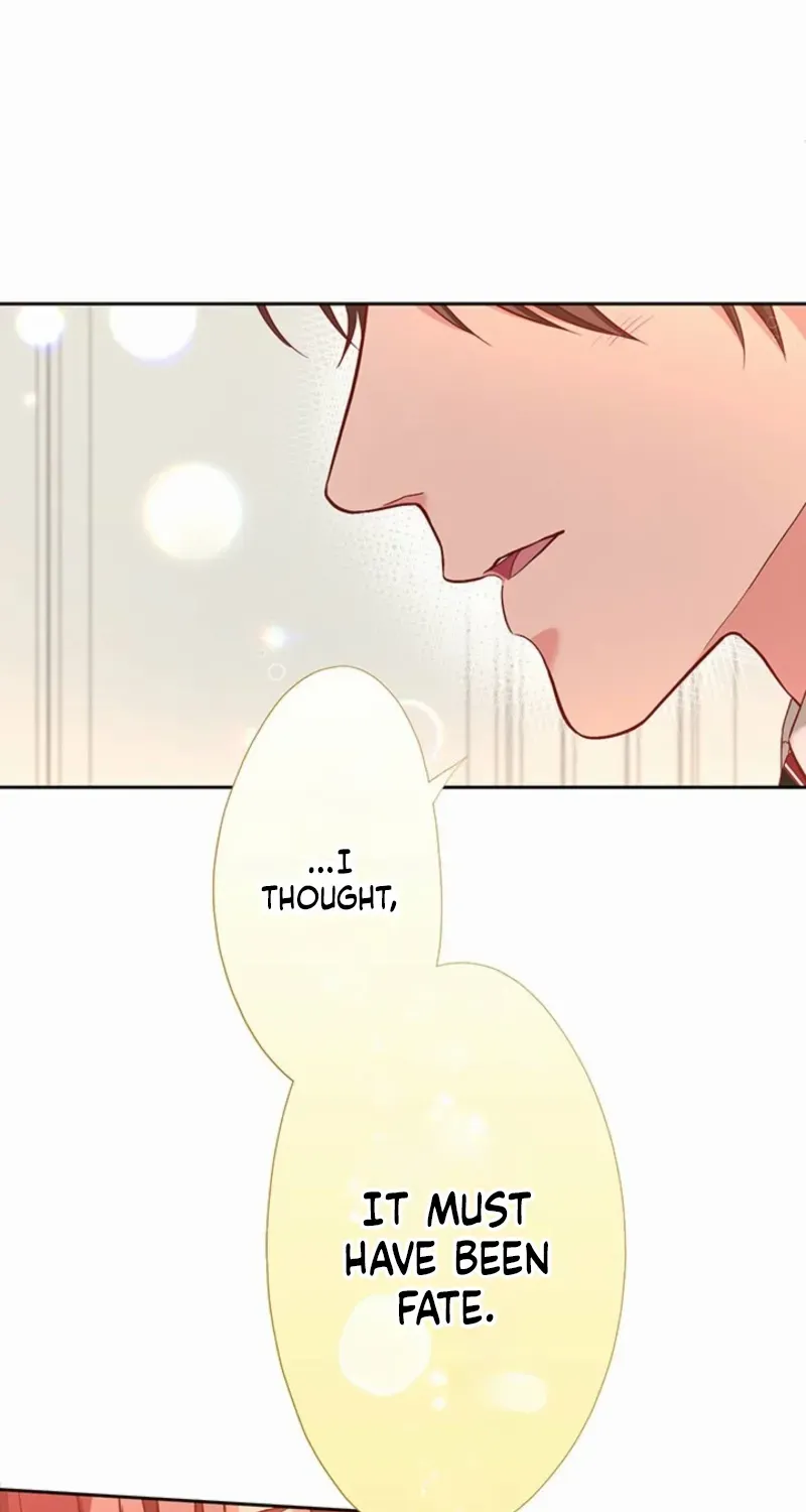 Business Marriage - If You Fall in Love, We'll Get a Divorce