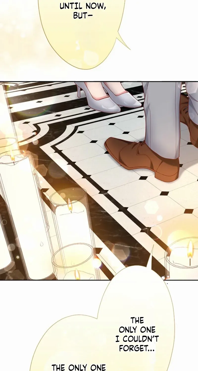 Business Marriage - If You Fall in Love, We'll Get a Divorce