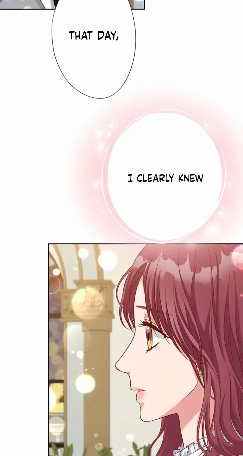 Business Marriage - If You Fall in Love, We'll Get a Divorce