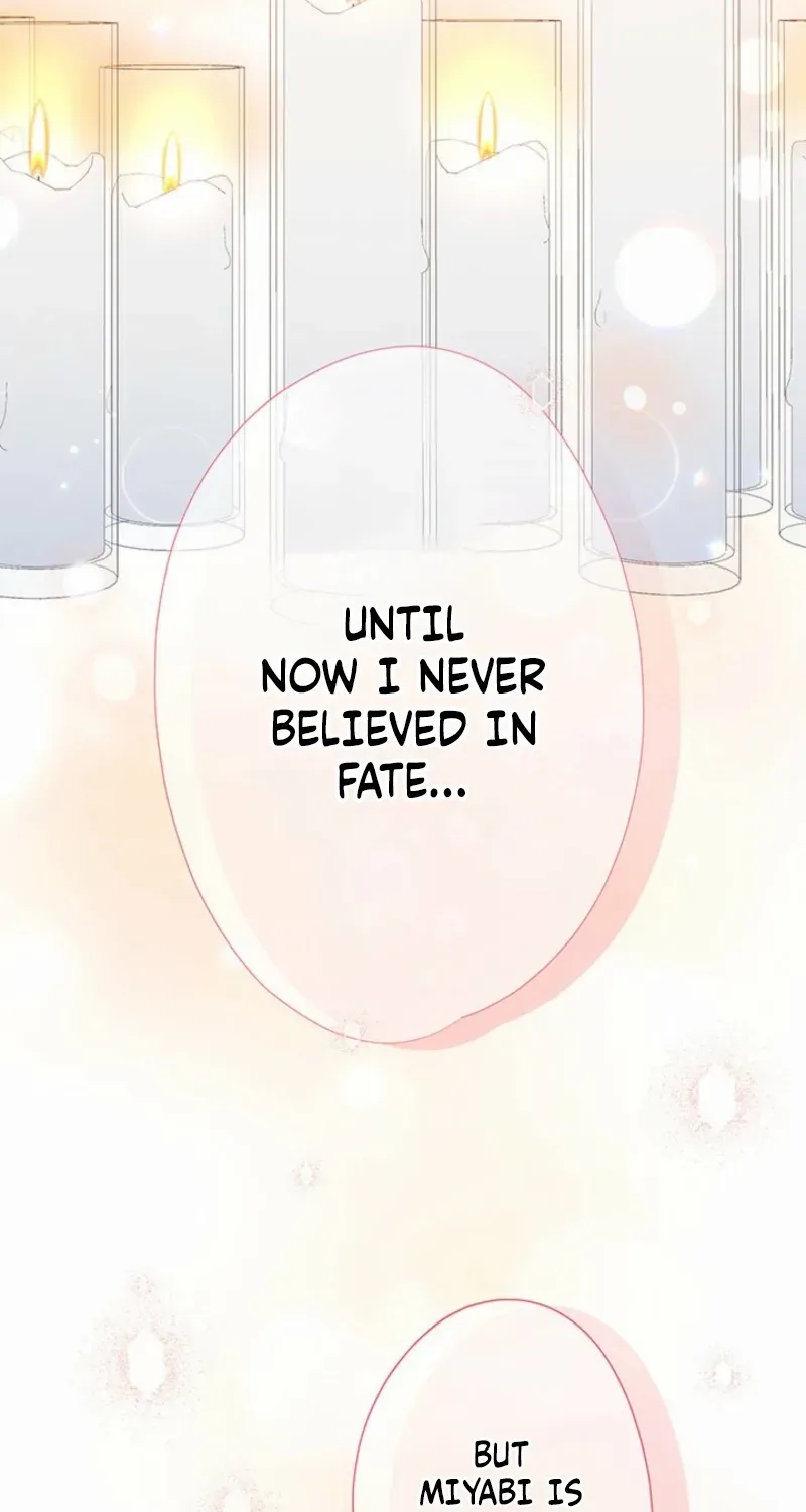 Business Marriage - If You Fall in Love, We'll Get a Divorce