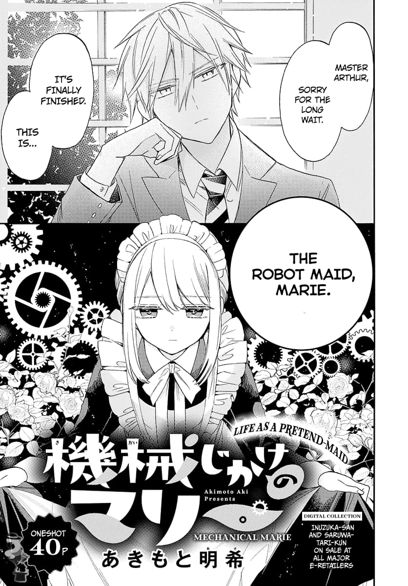 Mechanical Marie