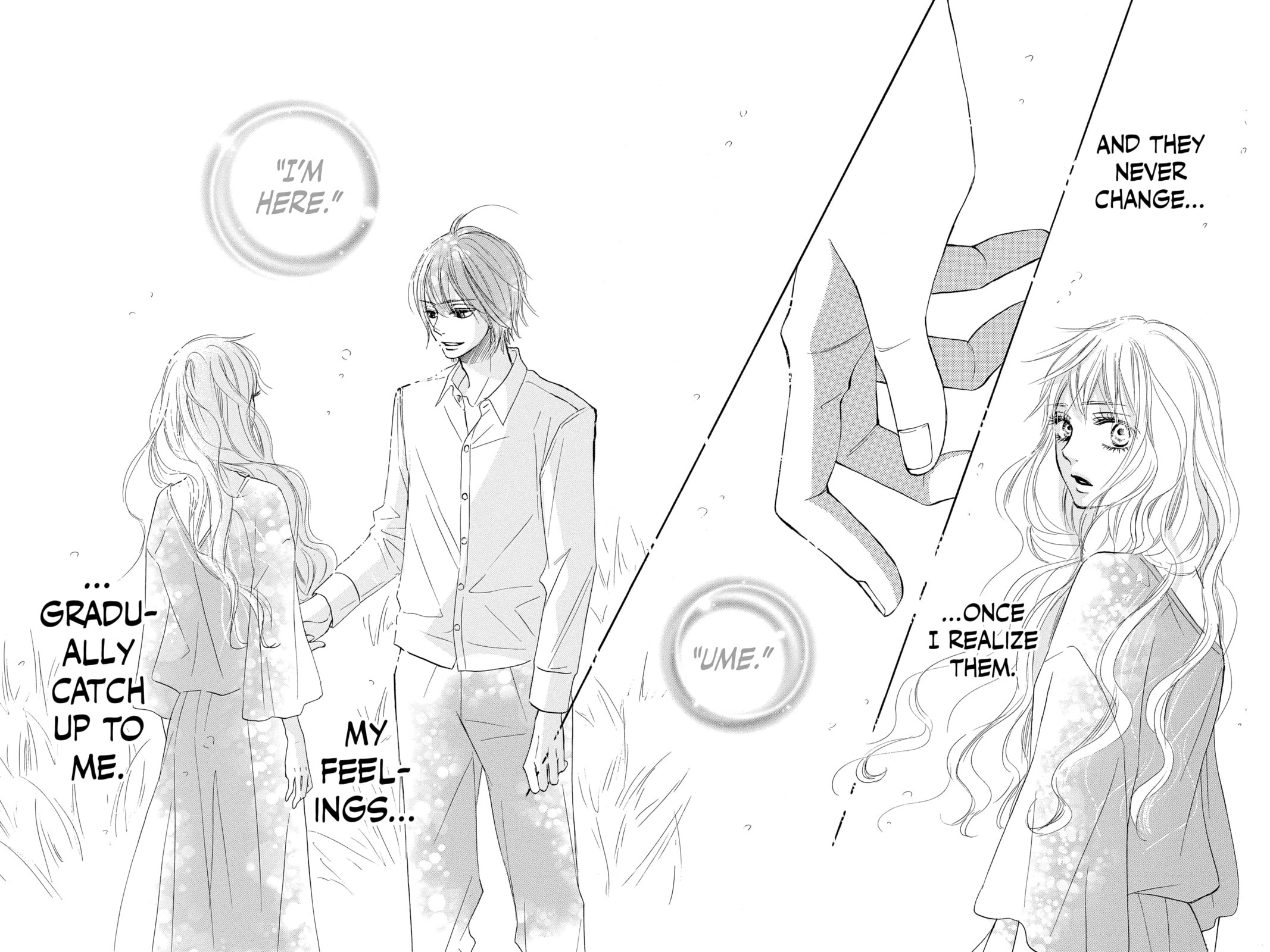 Kimi ni Todoke Special: Soulmate