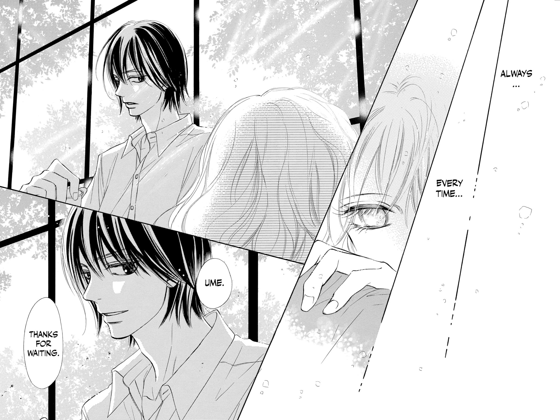 Kimi ni Todoke Special: Soulmate