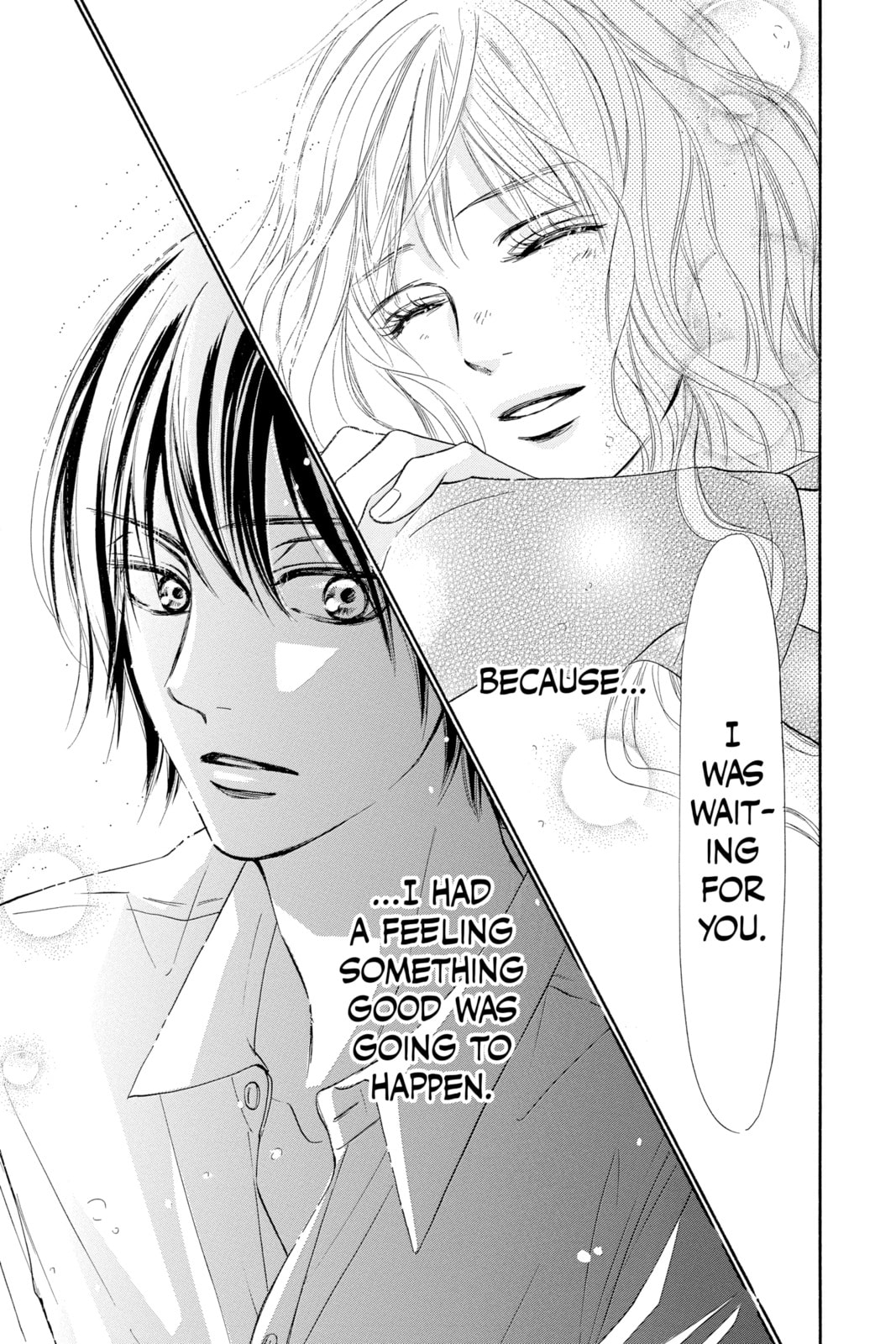 Kimi ni Todoke Special: Soulmate