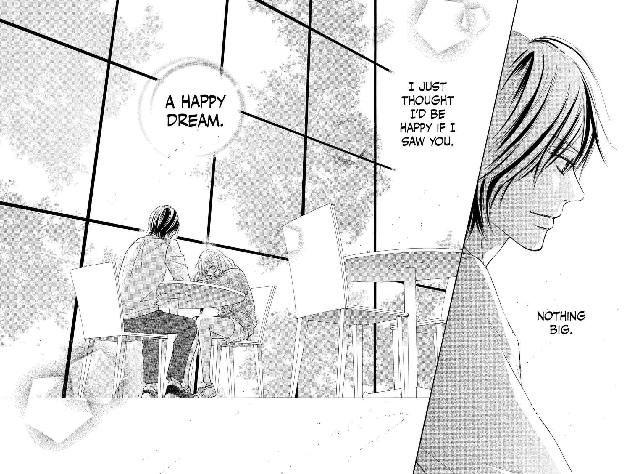 Kimi ni Todoke Special: Soulmate