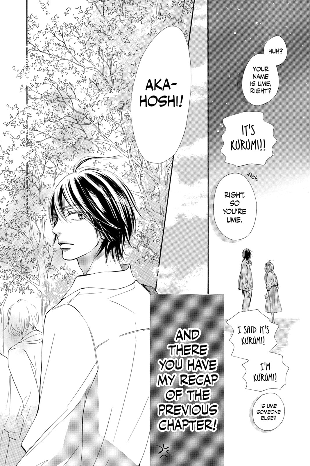 Kimi ni Todoke Special: Soulmate