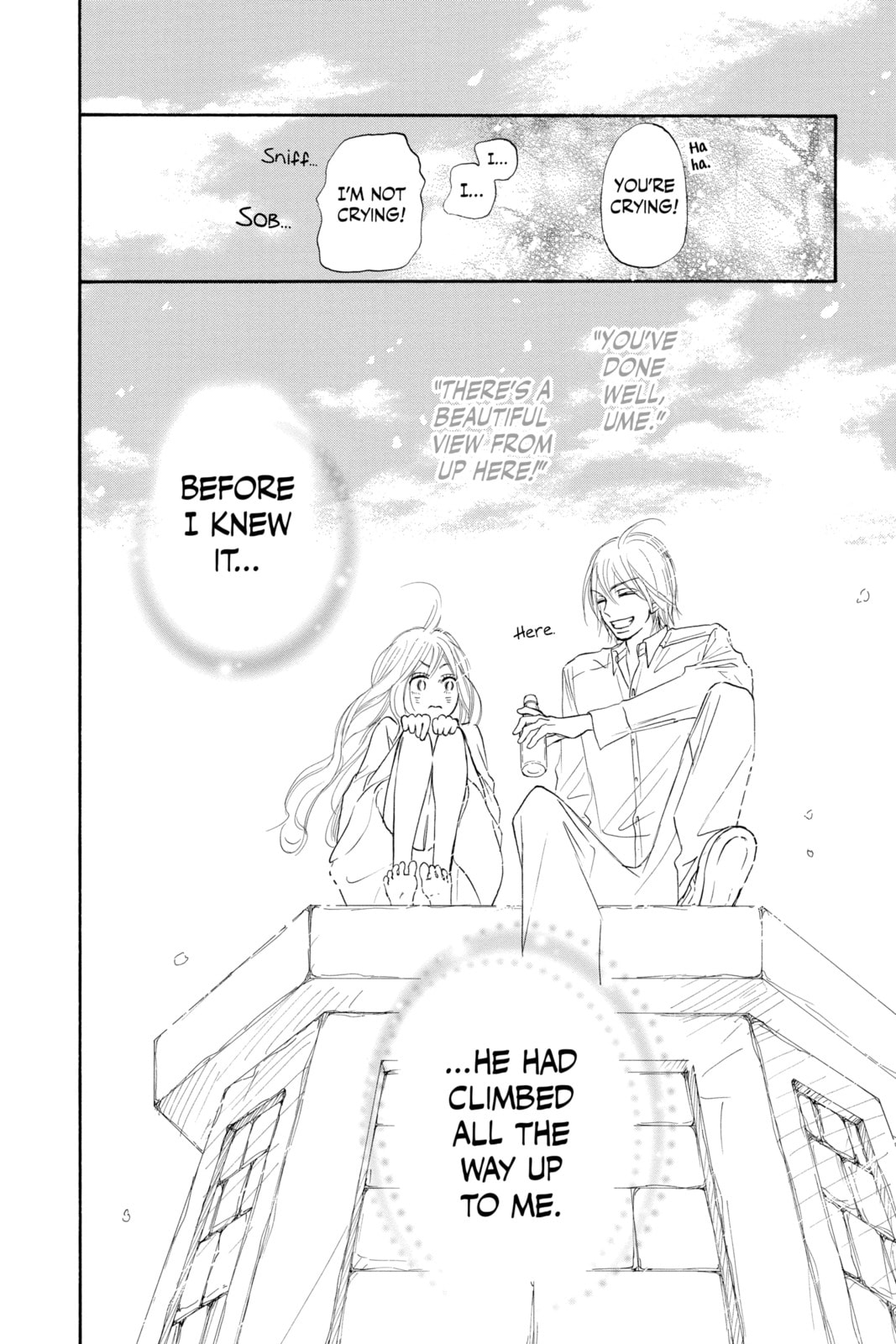 Kimi ni Todoke Special: Soulmate