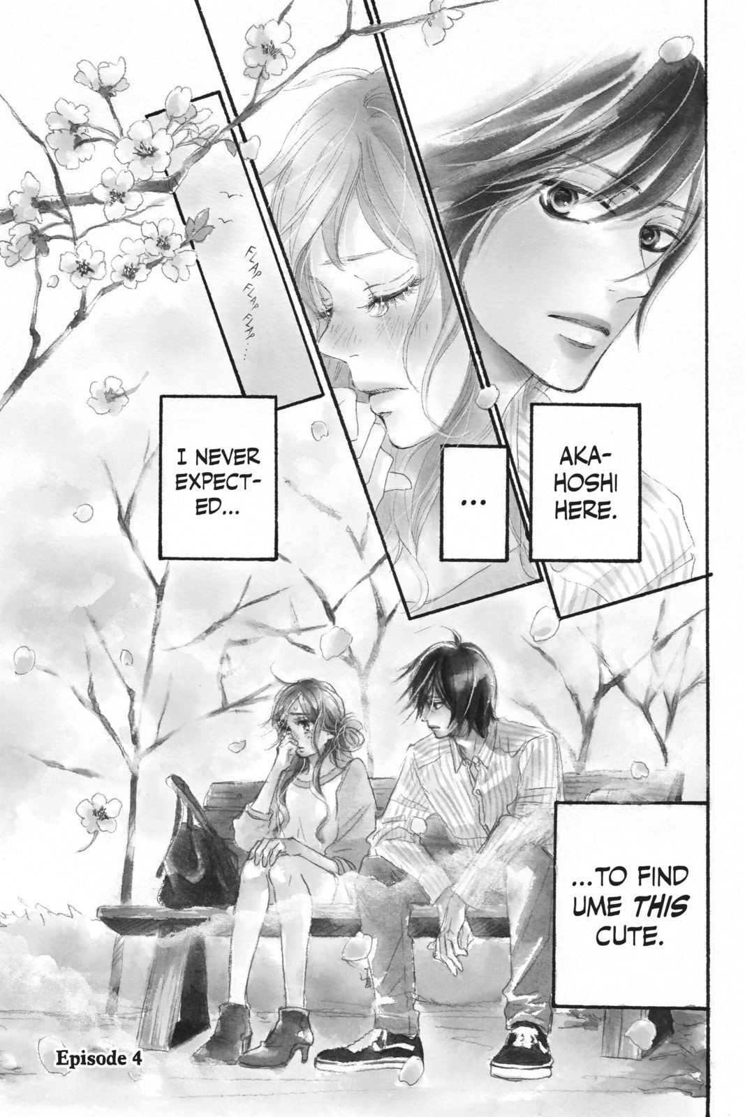 Kimi ni Todoke Special: Soulmate