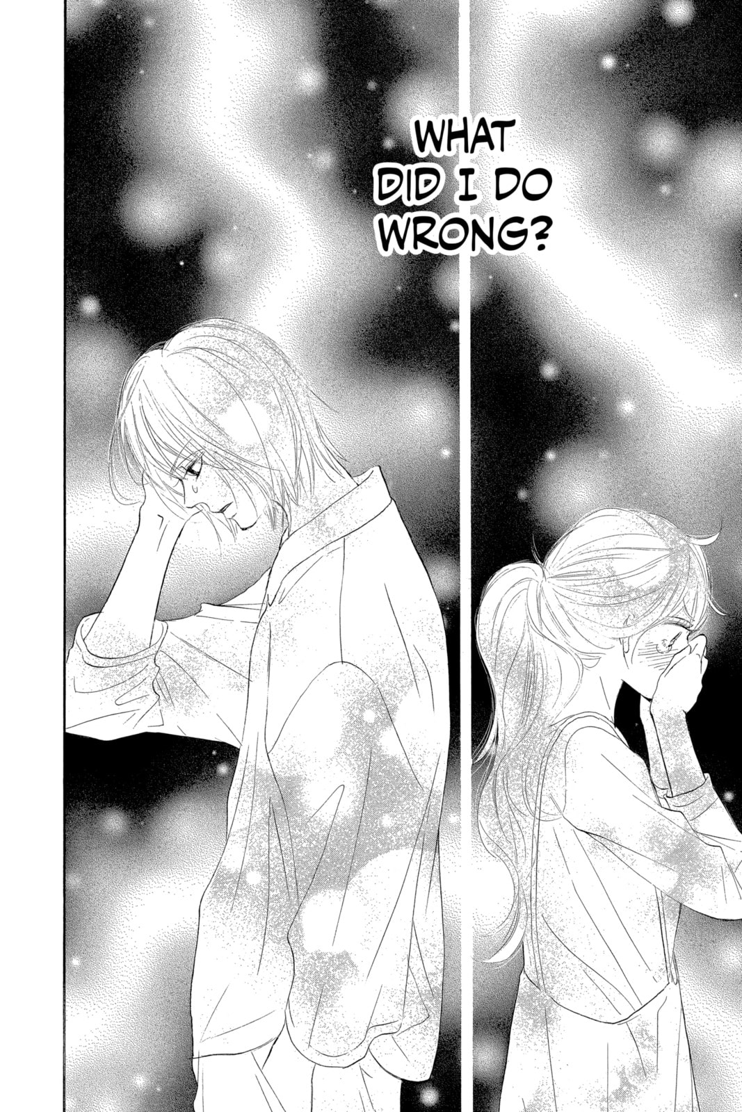 Kimi ni Todoke Special: Soulmate