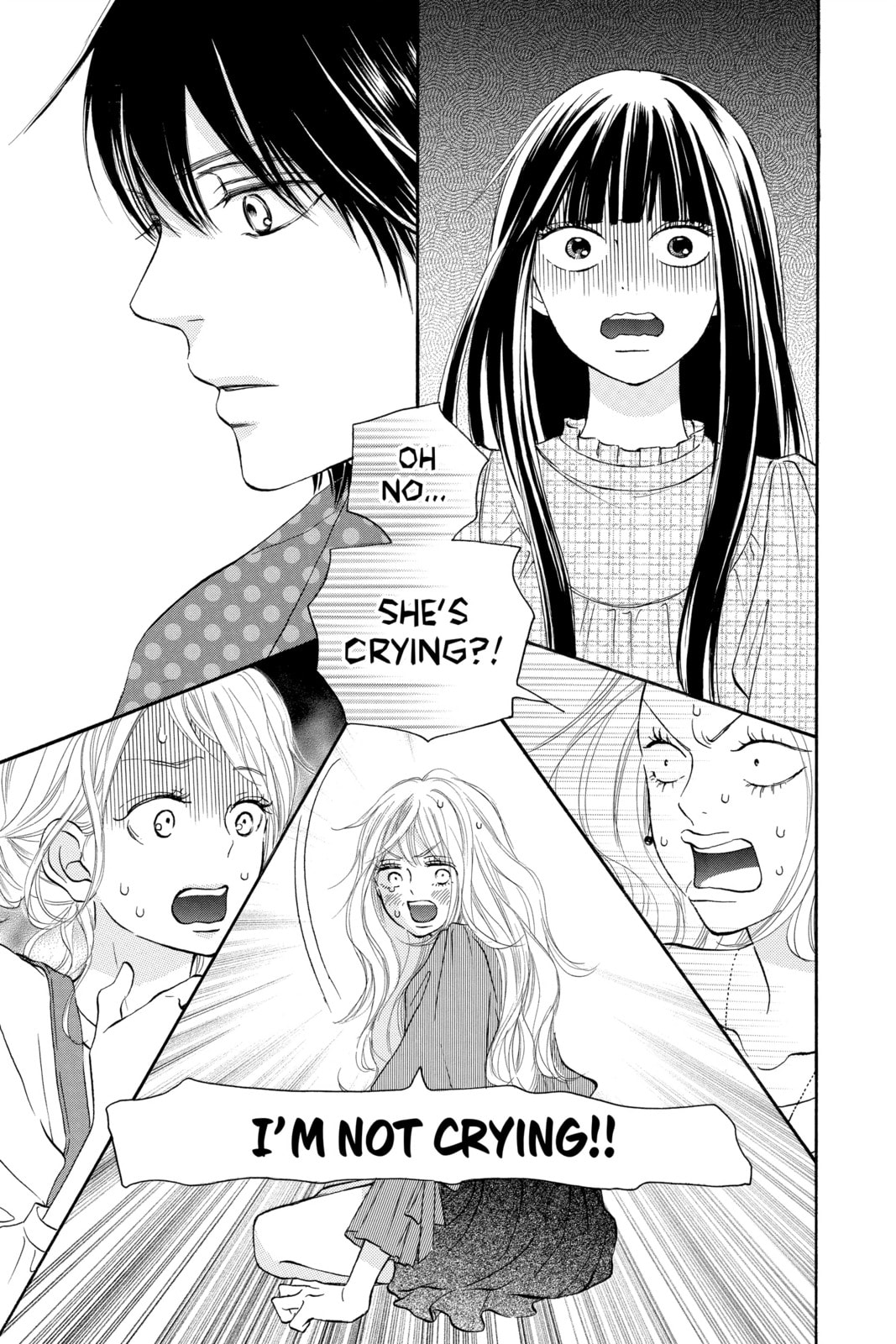 Kimi ni Todoke Special: Soulmate
