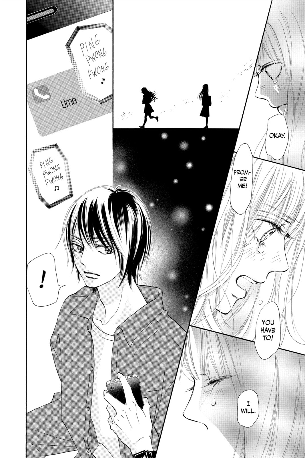 Kimi ni Todoke Special: Soulmate