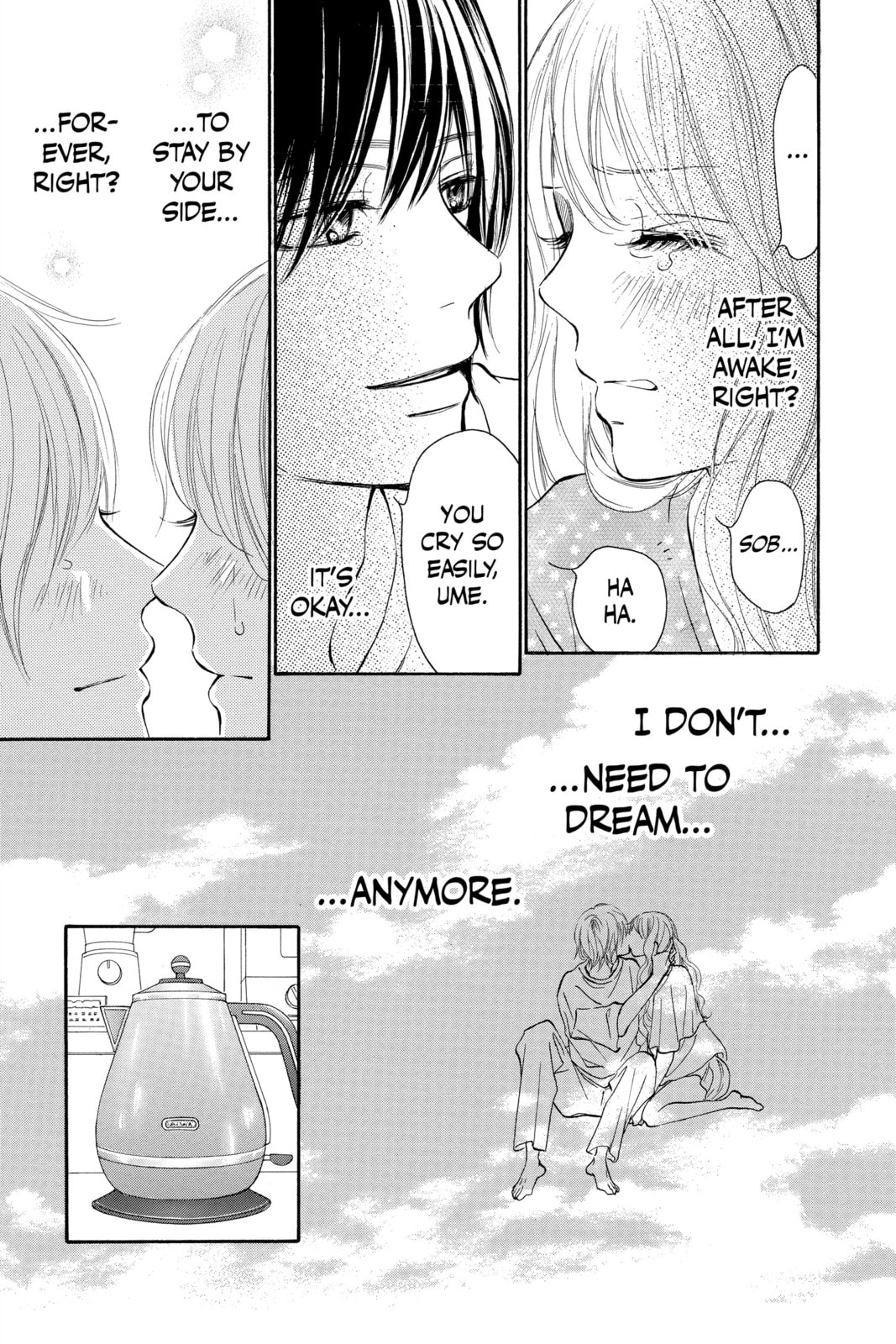 Kimi ni Todoke Special: Soulmate