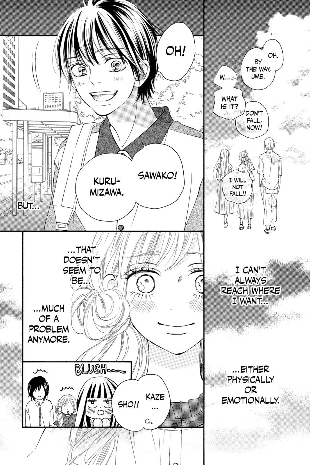 Kimi ni Todoke Special: Soulmate