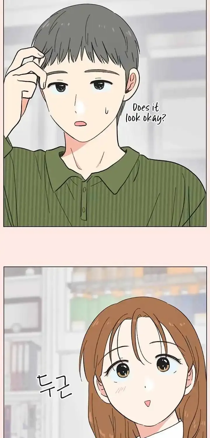 Seasons of Lovesome