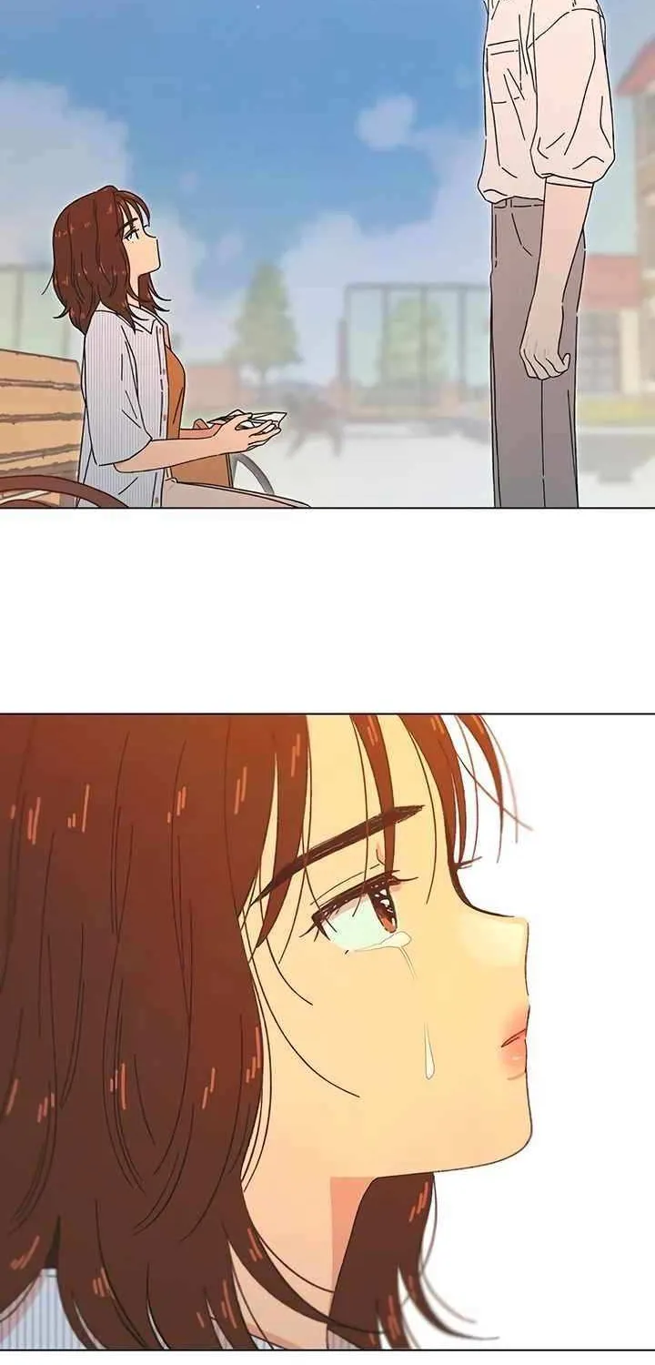 Seasons of Lovesome