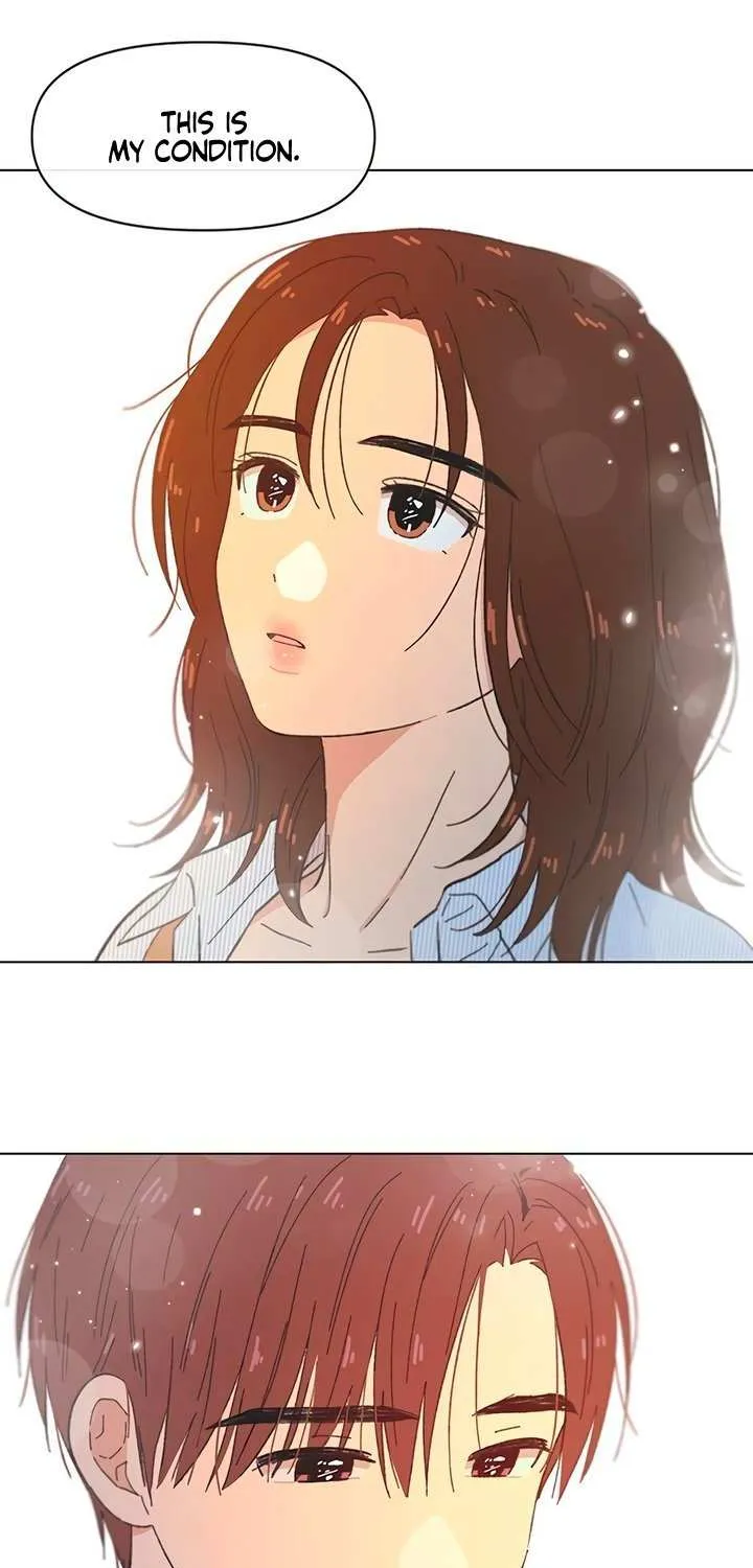 Seasons of Lovesome