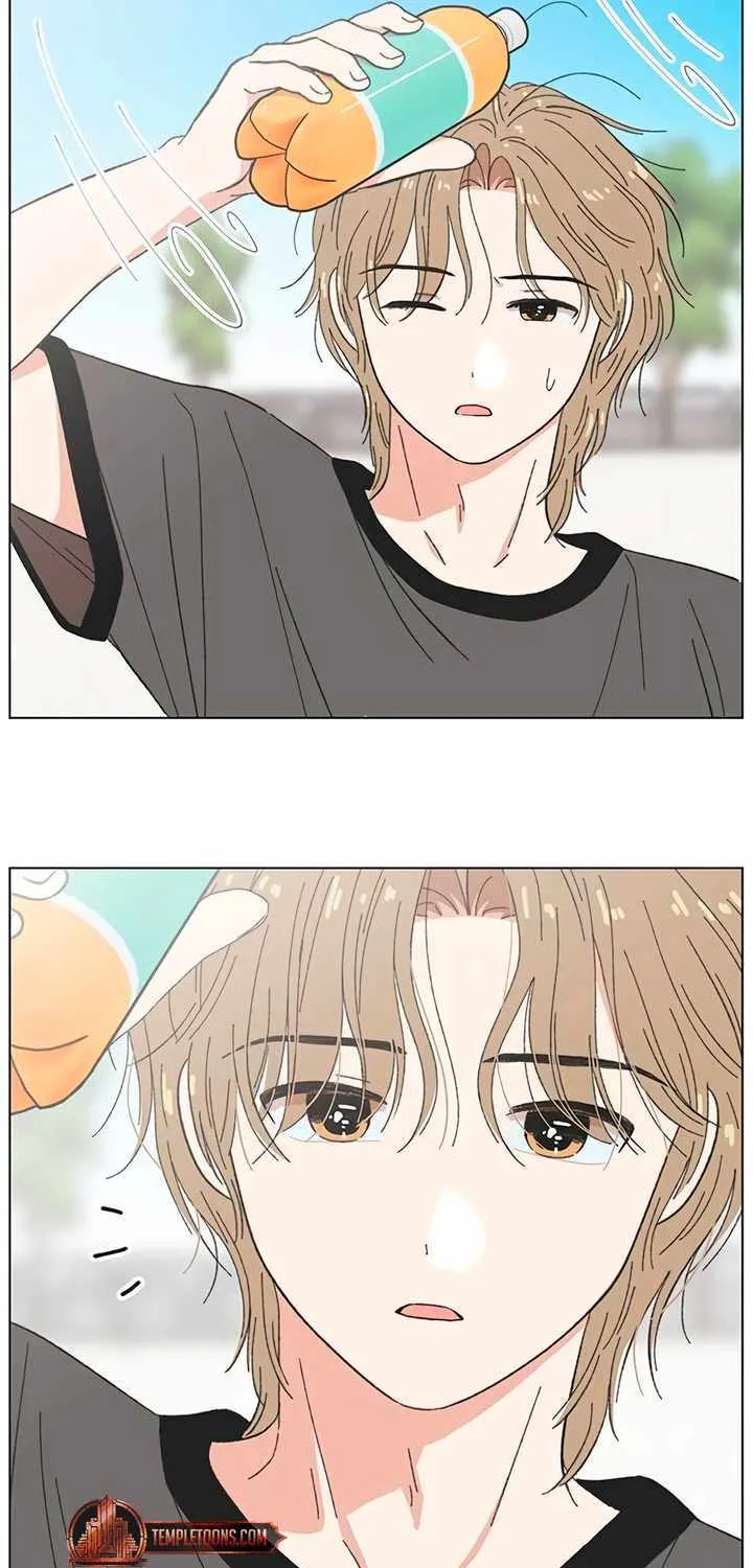 Seasons of Lovesome