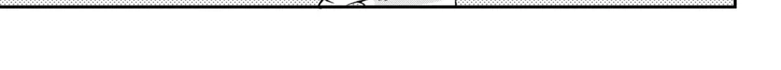 Kuroko Girl Meets Heel Boy