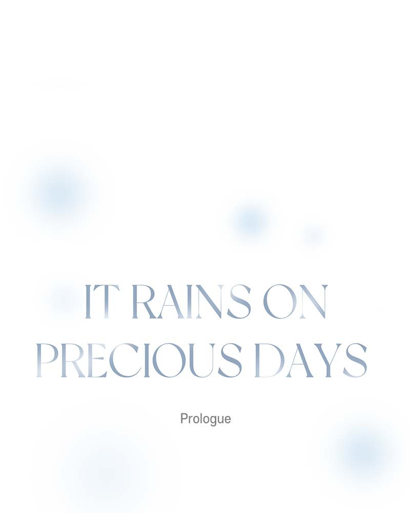 It Rains On Precious Days