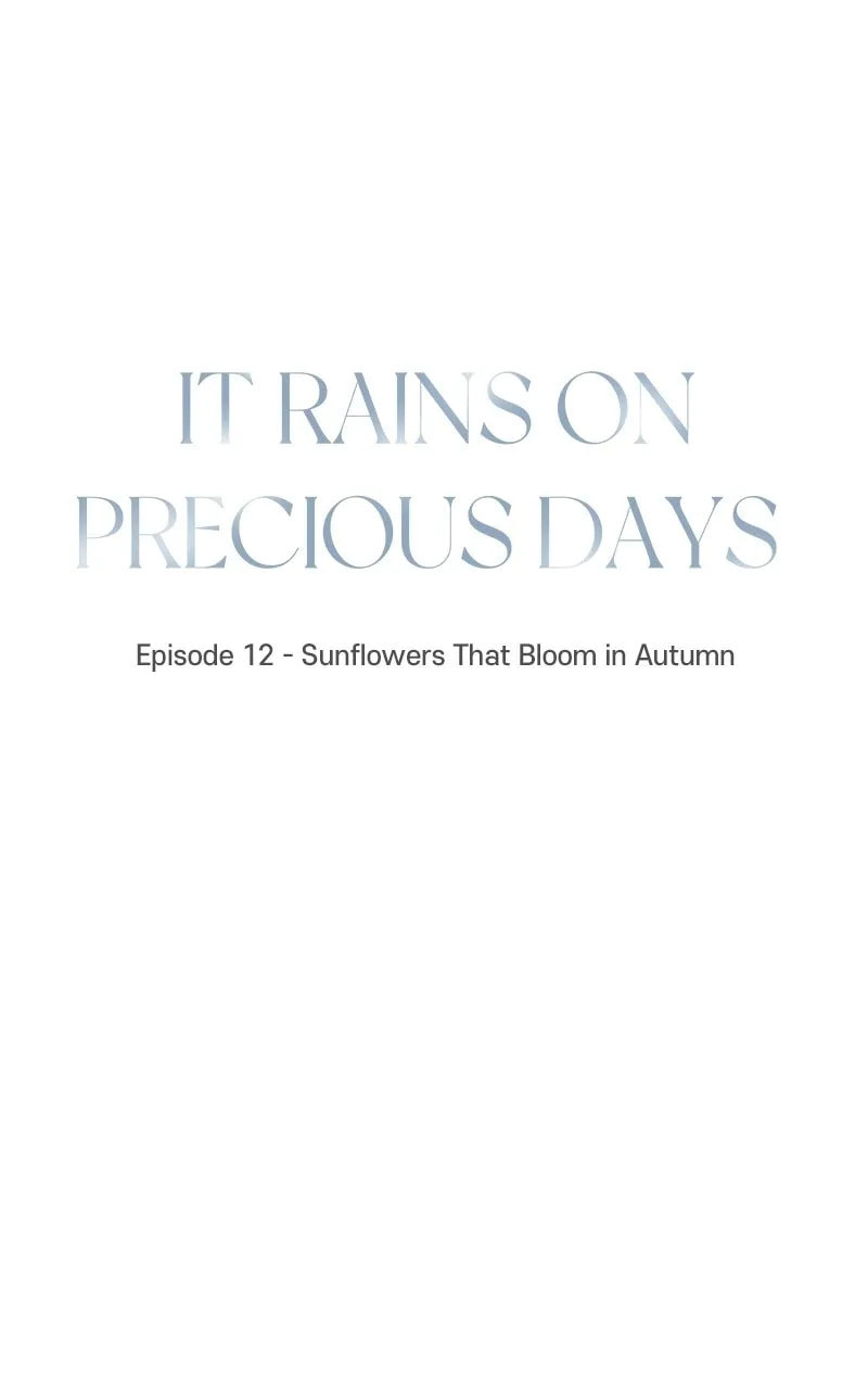 It Rains On Precious Days