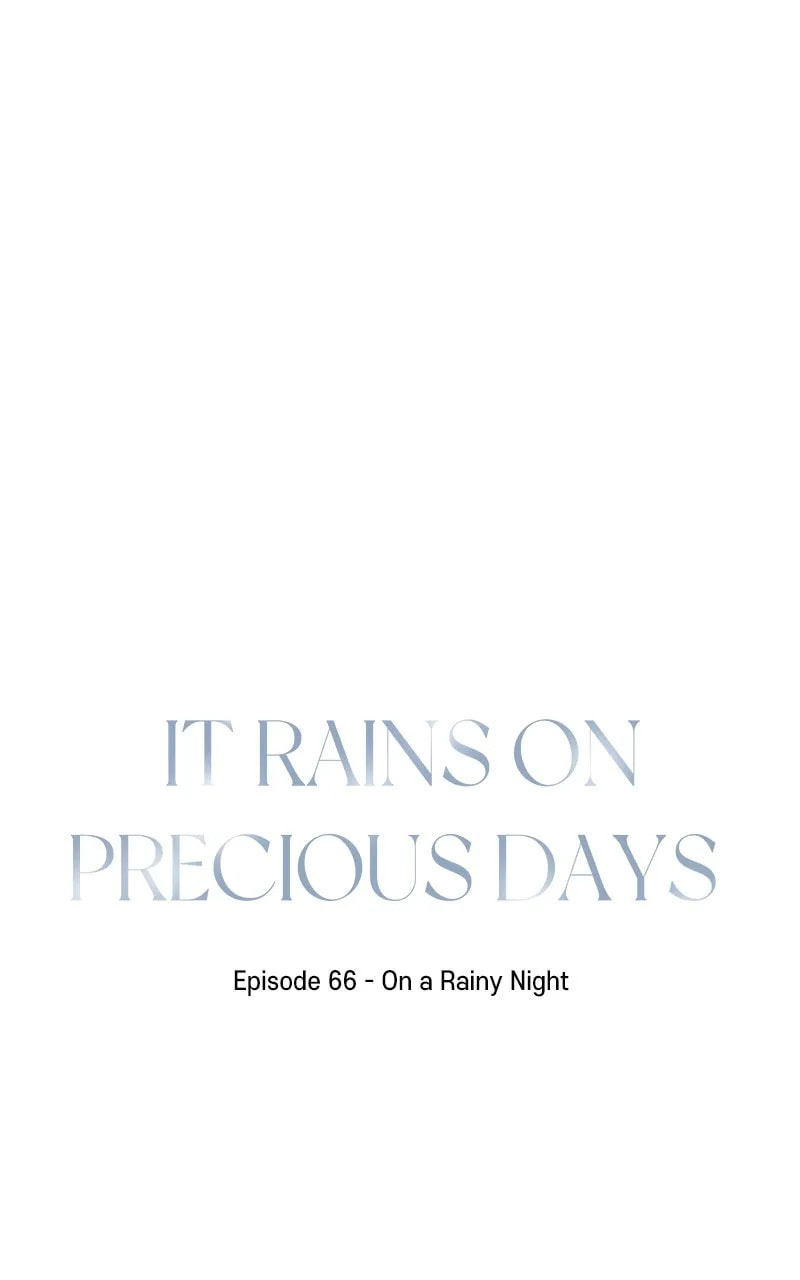 It Rains On Precious Days